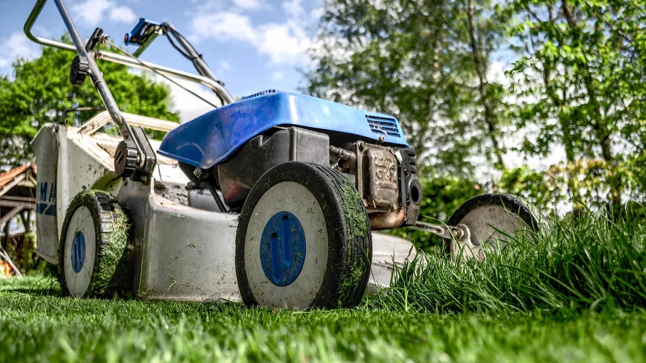 Gartenpflege kündigen: Vorlage für den Dienstvertrag